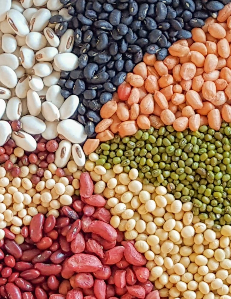 pulses & lentils